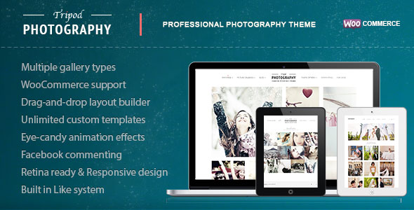 Tripod - Professional WordPress Photography Theme v4.3