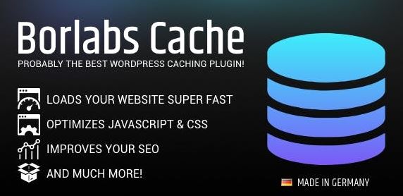 Borlabs Cache - WordPress Caching Plugin v1.6.1 Nulled