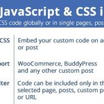 Custom JavaScript & CSS in Pages!