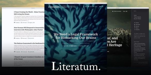 Literatum - Just Write WordPress Theme