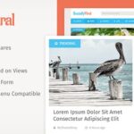 Sociallyviral Nulled Viral WordPress Blog Theme Free Download